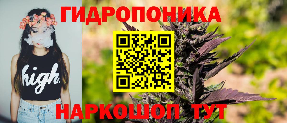 Бошки Шишки тримм Славянск-на-Кубани